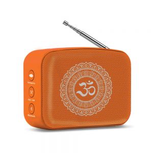 Saregama Carvaan Mini 2.0 Bhakti Music Player (Orange)