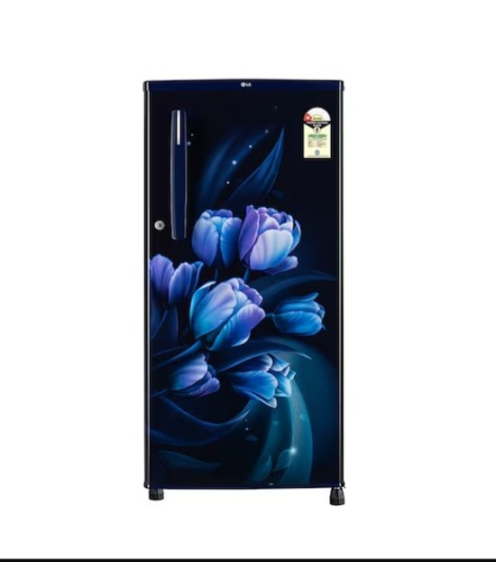 LG 185 Ltr Direct Cool Refrigerator GL-B199OBTB.EBTZPST 