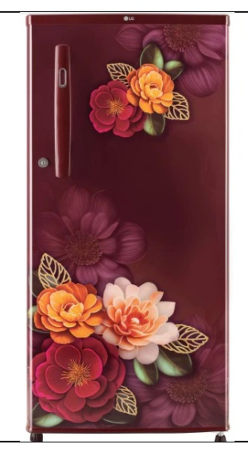 LG 185 Ltr Direct Cool Refrigerator GL-B201GRKC.ARKZEBN
