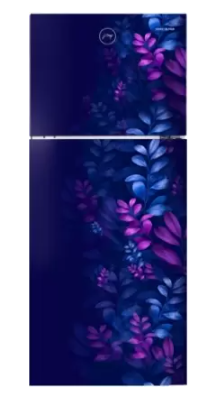 GODREJ RT EONALPHA 250B RI AR BL 233L REF FF
